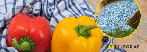 Азотні добрива можуть перетворити перець на отруту