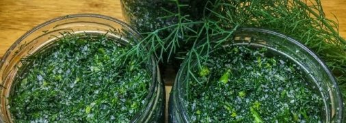 Как засолить укроп на зиму