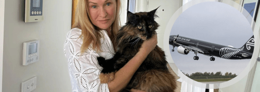 Колаж "Телеграфу"