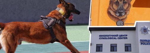 Кінологічний центр під Києвом