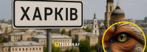 Незвичайну тварину помітили у місті