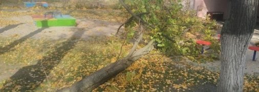 Дерево упало на детскую площадку во время дневной прогулки