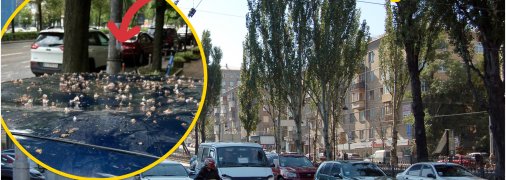 Бульвар Лесі Українки