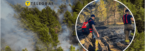 Коллаж "Телеграфа"