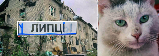 Взгляд у Лафета почти человеческий – глубокий и немного задумчивый