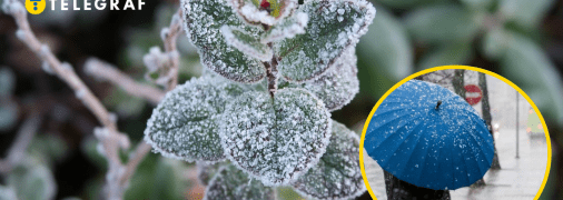 Заморозки и мокрый снег