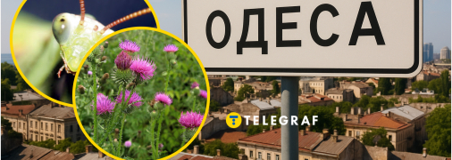 Летючі гості мігрують Україною