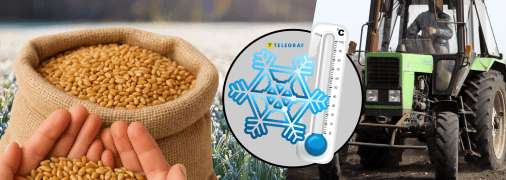 Як погода вплине на культуру