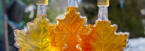 Кленовый сироп: вкусно и полезно