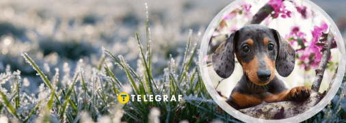 Другий місяць весни не балував українців