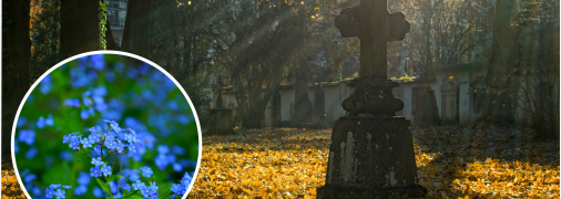 Як екологічно вшанувати померлих