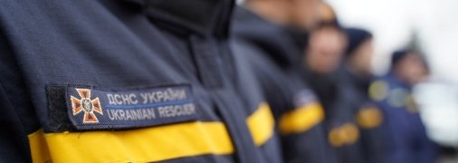 В Кривом Роге операция по спасению кошки с дерева стала шоком для очевидцев: что произошло (видео)