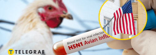 Птичий грипп H5N1