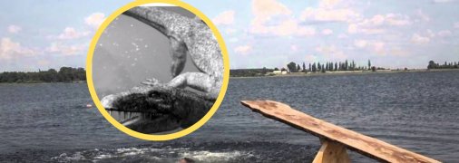 Озеро в селі Сомин, що на Волині