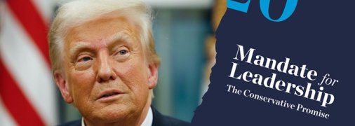 Про що насправді "Проєкт 2025"