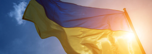 Болельщица получила два флага вместо одного