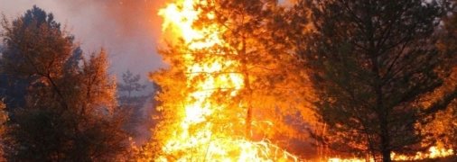 Лісові пожежі дісталися до лісів під Києвом (відео, карта)