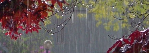 По-літньому спекотно, але з грозами: якою буде погода в Україні на початку тижня