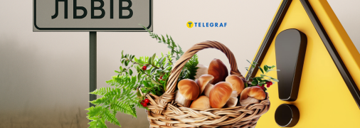 Посеред Львова помітили гливи