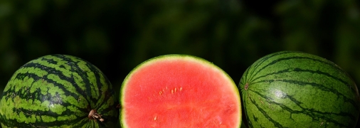 Аграрный сектор будет постепенно восстанавливаться