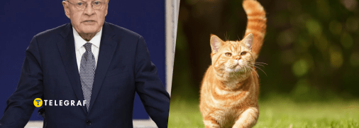 Украинцы шутят, что о таком коте мечтает каждый украинец