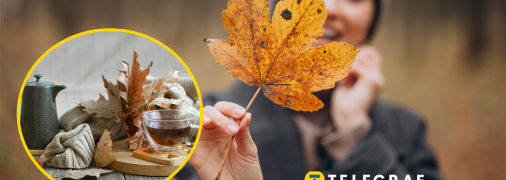 Запреты на 2 ноября