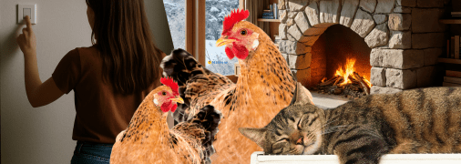 Обогрев дома во время блэкаутов