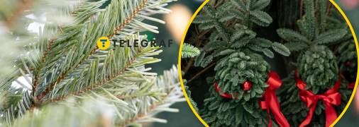 Фото Колаж "Телеграфу"