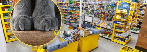 Магазин "Аврора"