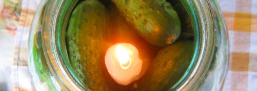 Свежие огурцы — к Рождеству: консервация по методу «сгоревшей свечи»