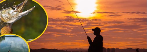 На київському озері клюнула велика щука