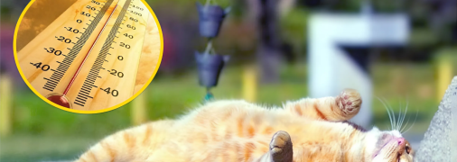 Погода, червень