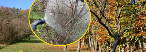 Обработка сада осенью