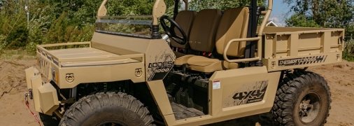 Баггі Desertcross 1000-3 виробництва КНР