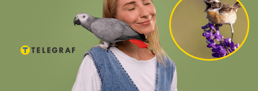 Девушка с попугаем