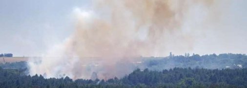 Масштабный пожар на Хортице: огонь тушат даже женщины (фото)