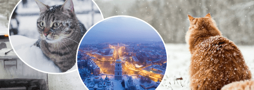 Снег в Украине