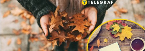 Запреты на 20 ноября