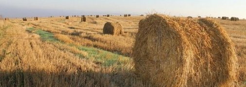 20 июля - праздник, что категорически запрещено делать, главные приметы