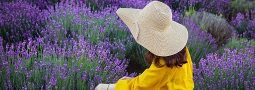 Сиренево-фиолетовая красота: в Украине приобретают популярность прогулки по лавандовым полям