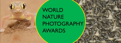 Иллюстративное фото