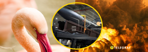 Ракета Фламинго