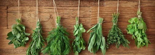 Пряные травы: 3 способа сушки на зиму