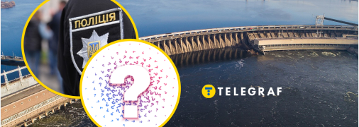 У Запоріжжі помітили незвичайних птахів