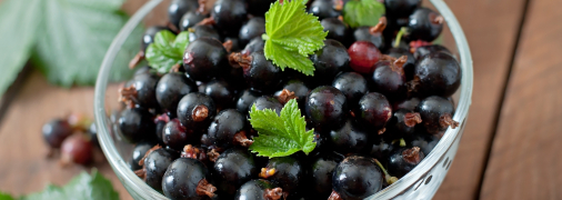 Все легко и просто