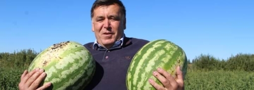 Такие 14-килограммовые арбузы в прошлом году уродились под Миргородом, говорит Виктор Галич