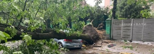 Повалені дерева, затримка поїздів та травмовані люди: наслідки негоди на заході України (фото, відео)