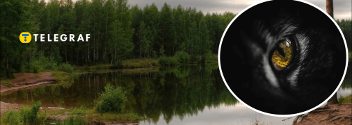 Хижак у лісі