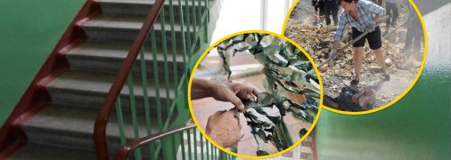 Перелік робіт - від плетіння сіток до будівництва укриттів