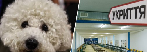 Четкие требования прописал Кабмин